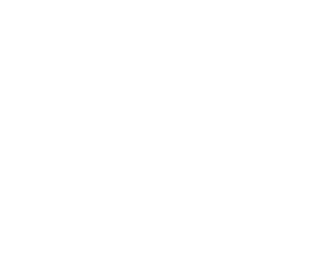 MNP Techs Logo white version