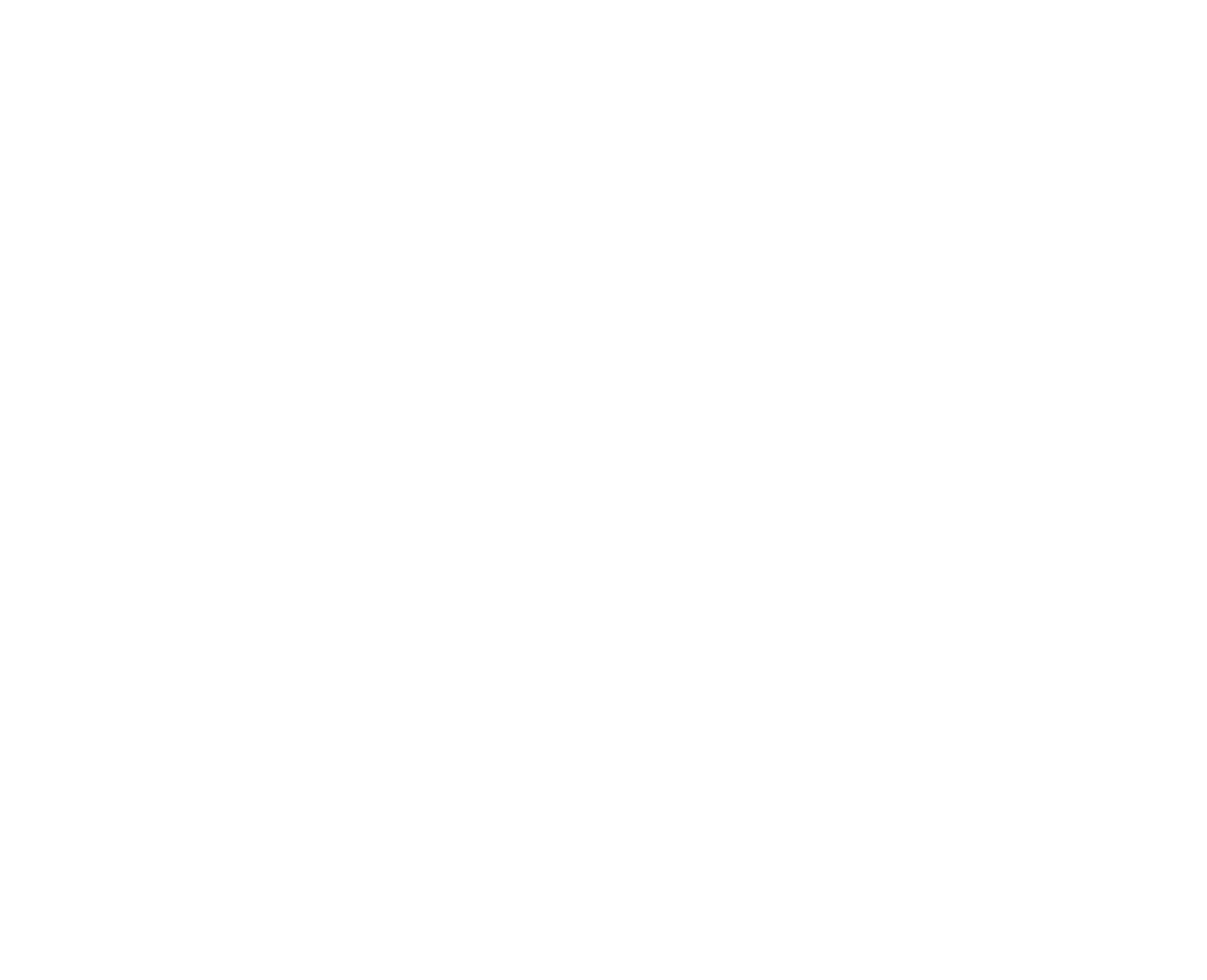 MNP Techs Logo white version